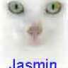 jasmin24