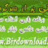 birdownload