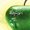rahgozar777