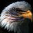 persian-eagle